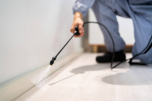 Bed Bug Pre-Treatment Preparation Assessment in Aledo